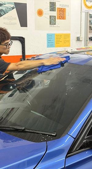 Windscreen Inspection